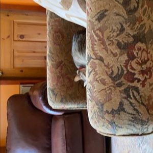 Meet your Posher, Terry